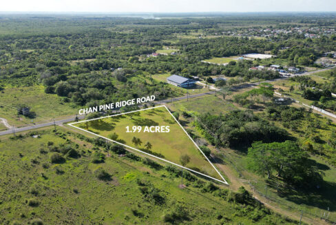 gal-8
