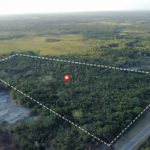 21 Acres Along Phillip Goldson Highway Orange Walk District Belize Real Estate