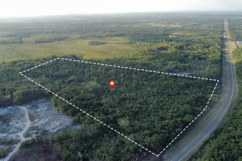 21 Acres Along Phillip Goldson Highway Orange Walk District Belize Real Estate