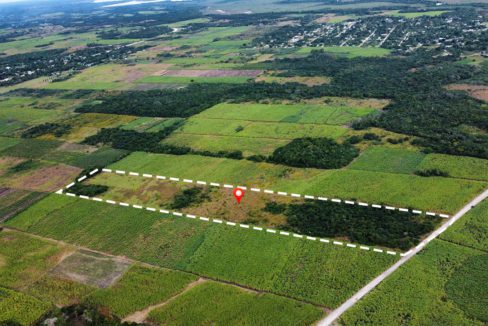 13.8 Acres Farmland Corozal District Belize Real Estate