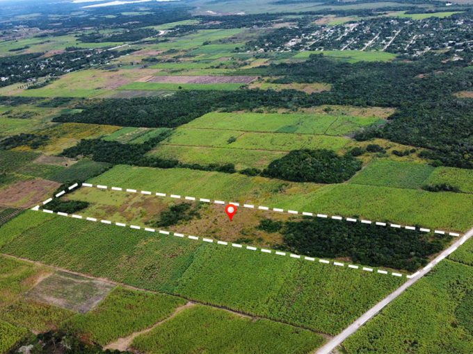 13.8 Acres Farmland Corozal District Belize Real Estate