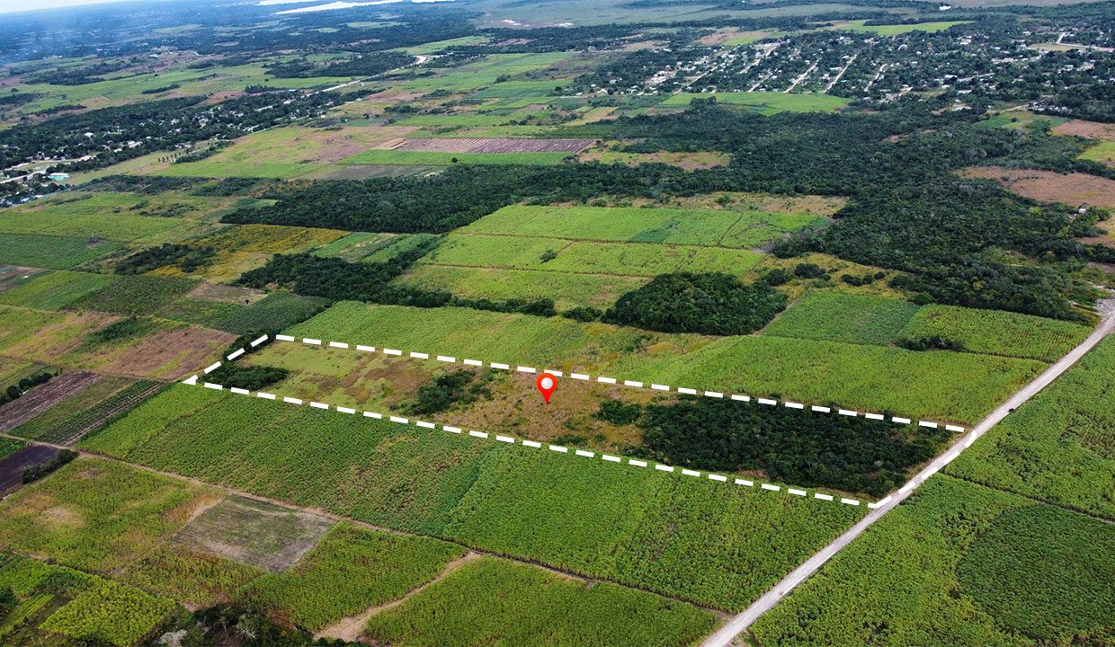 13.8 Acres Farmland near Corozal Town, Belize