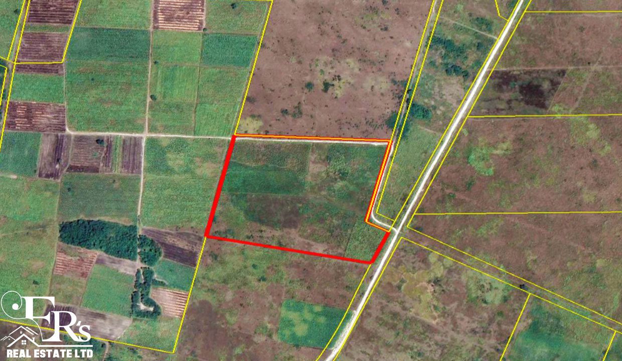 31 Acres Farmland Corozal District Belize Real Estate