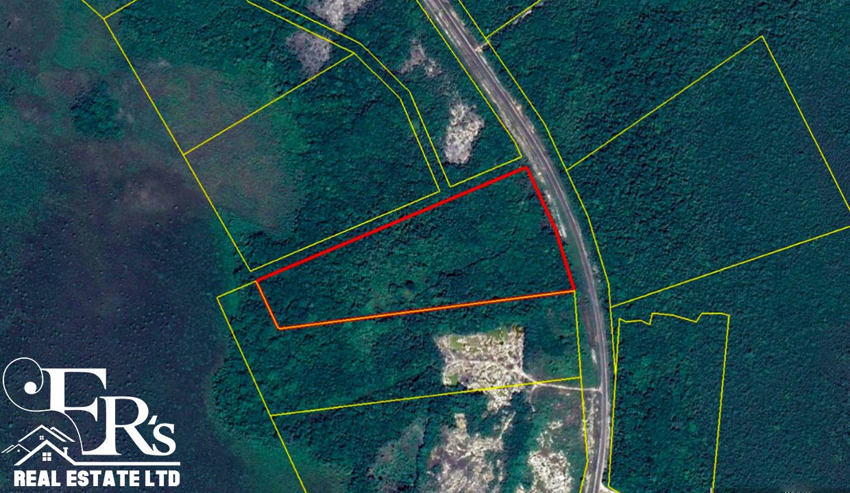 21 Acres Along Phillip Goldson Highway Orange Walk District Belize Real Estate