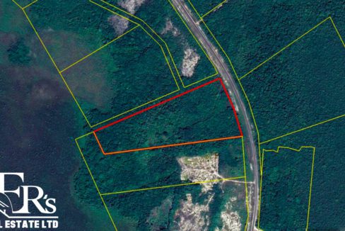 21 Acres Along Phillip Goldson Highway Orange Walk District Belize Real Estate