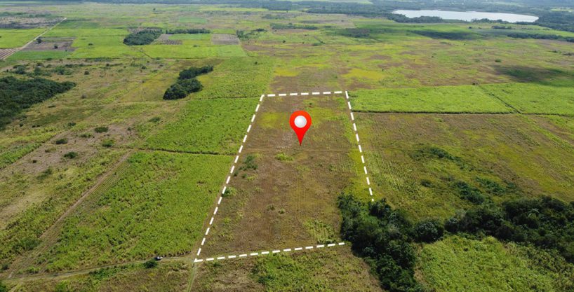 10 Acres Fertile Farm Land Corozal District Belize Real Estate