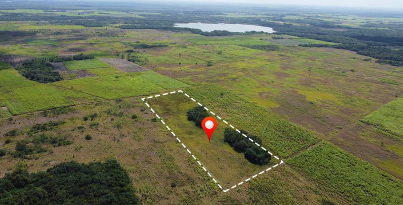 10 Acres Fertile Farm Land Corozal District Belize Real Estate