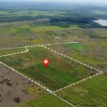 31 Acres Fertile Farm Land Corozal District Belize Real Estate