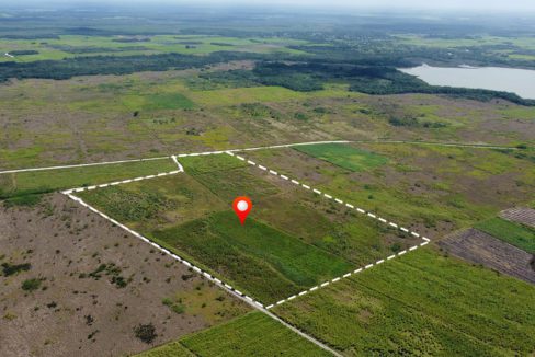 31 Acres Fertile Farm Land Corozal District Belize Real Estate