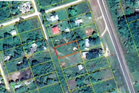 31 Acres Farmland Corozal District Belize Real Estate