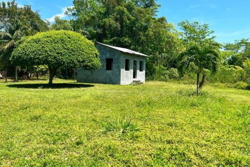 Double Lot Trial Farm Village Orange Walk District Belize Real Estate