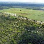 5.8 Acre Petiville Orange Walk District Belize Real Estate