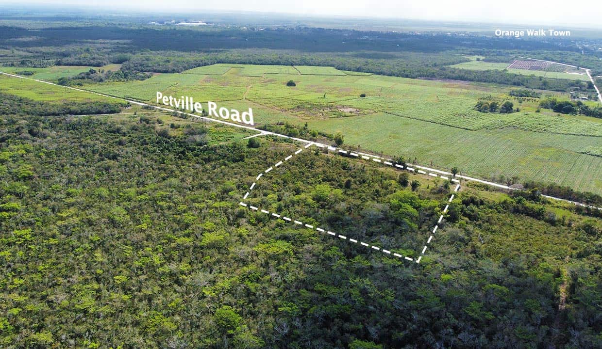 5.8 Acres Farm Land in Petville Orange Walk District Belize