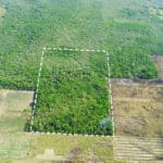 30 Acre Farmland Orange Walk Belize Real Estate