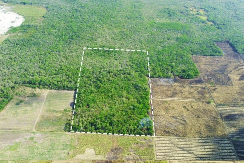 30 Acre Farmland Orange Walk Belize Real Estate