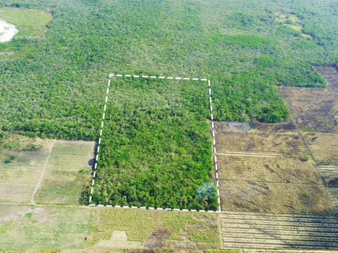 30 Acre Farmland Orange Walk Belize Real Estate