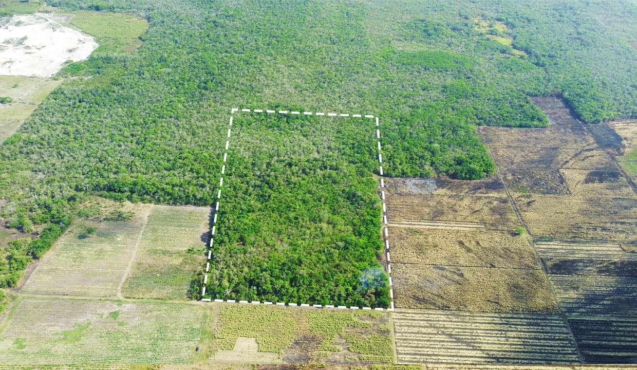 30 Acre Farm Land Orange Walk District Belize