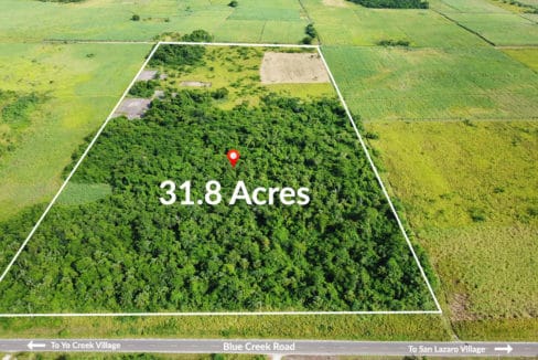 Belize Farmland Orange Walk District Belize Real Estate