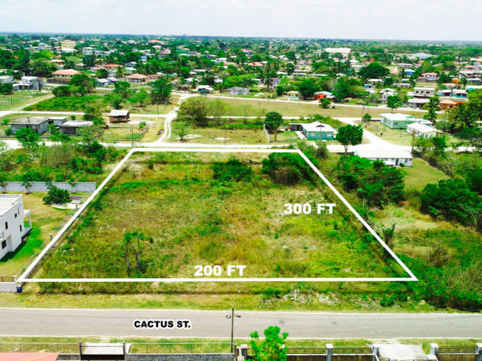 Large Residential Property Orange Walk Town Northern Belize Real Estate for Sale