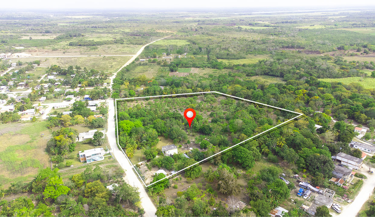 Unique 7.3 Acre Estate Farmland Close to Corozal Town Belize