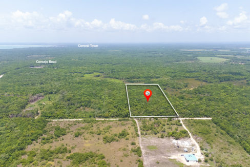 17 Acre Property Corozal District Belize Real Estate for sale