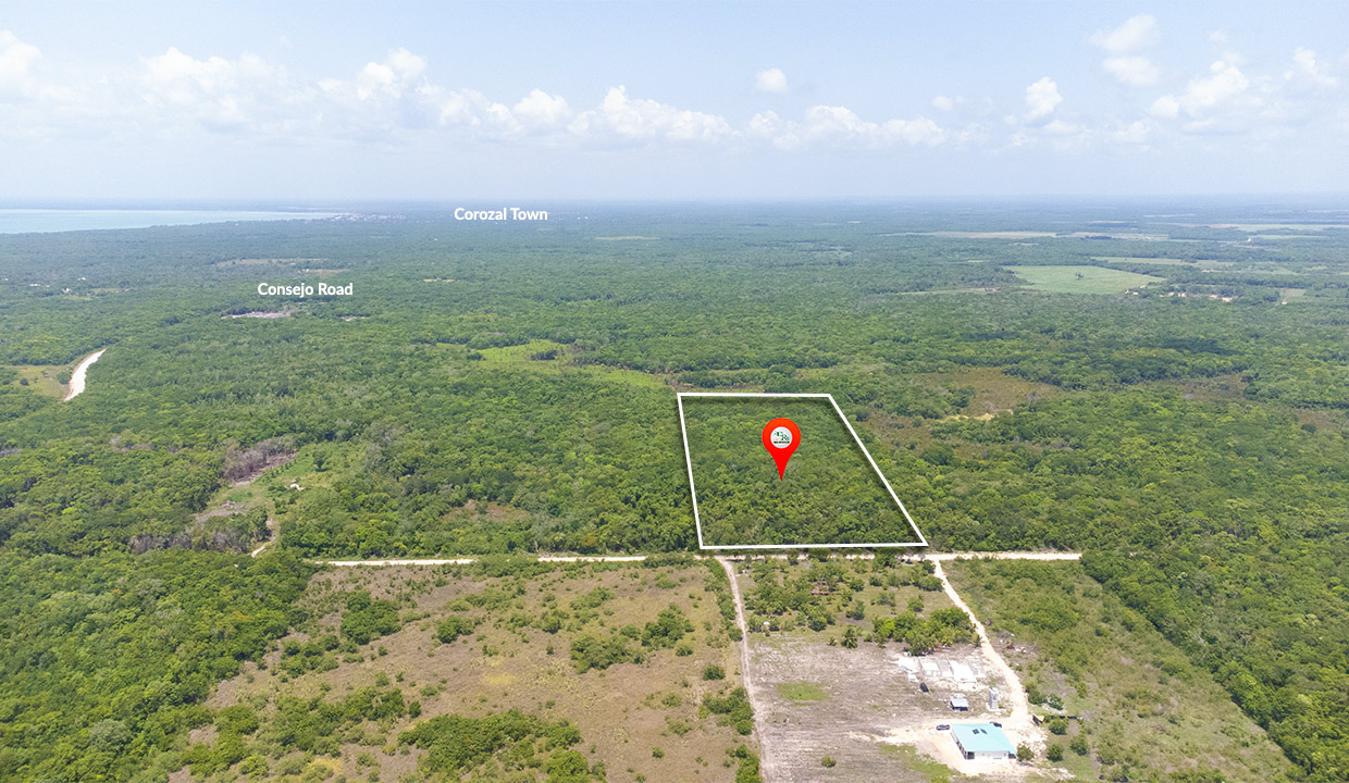 17 Acre Property Near Consejo Corozal District Belize