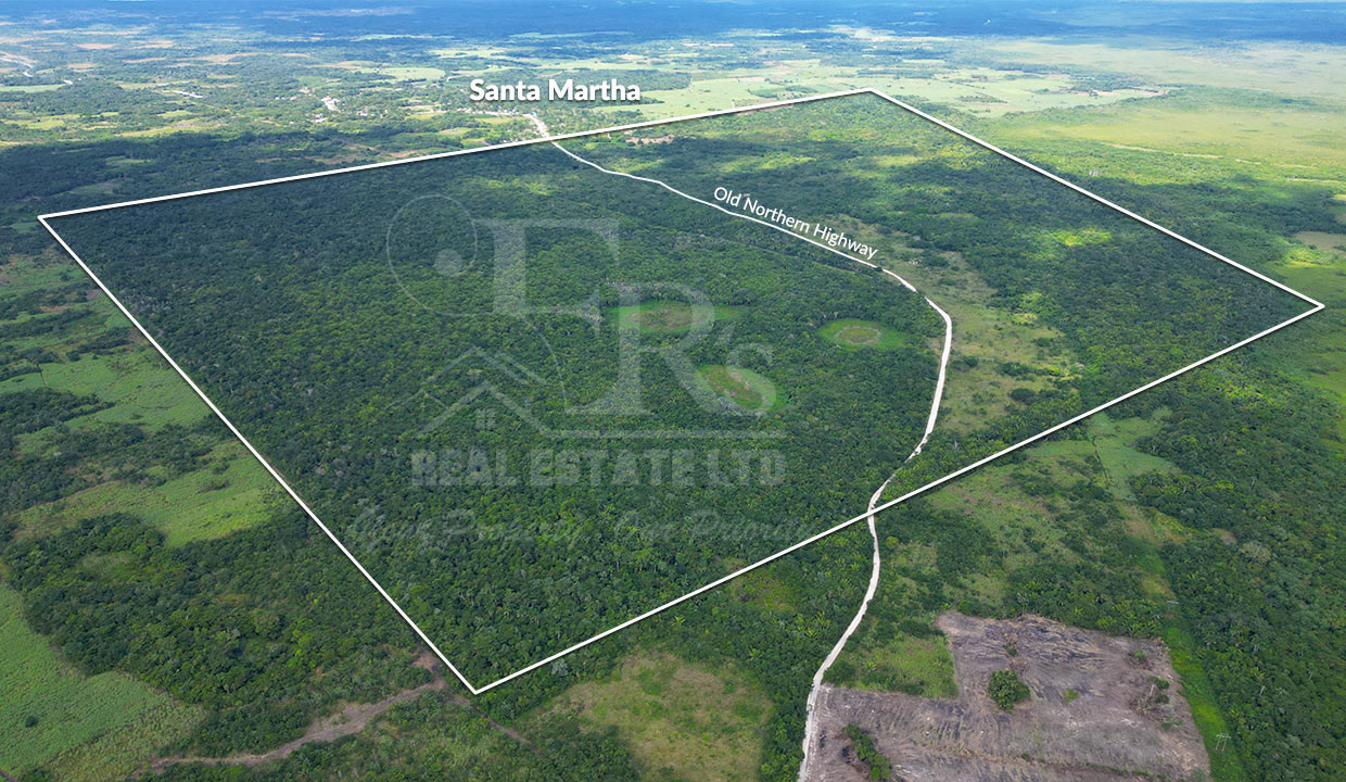 1150 Acres Agricultural Farmland in Santa Martha Village, Orange Walk District, Belize