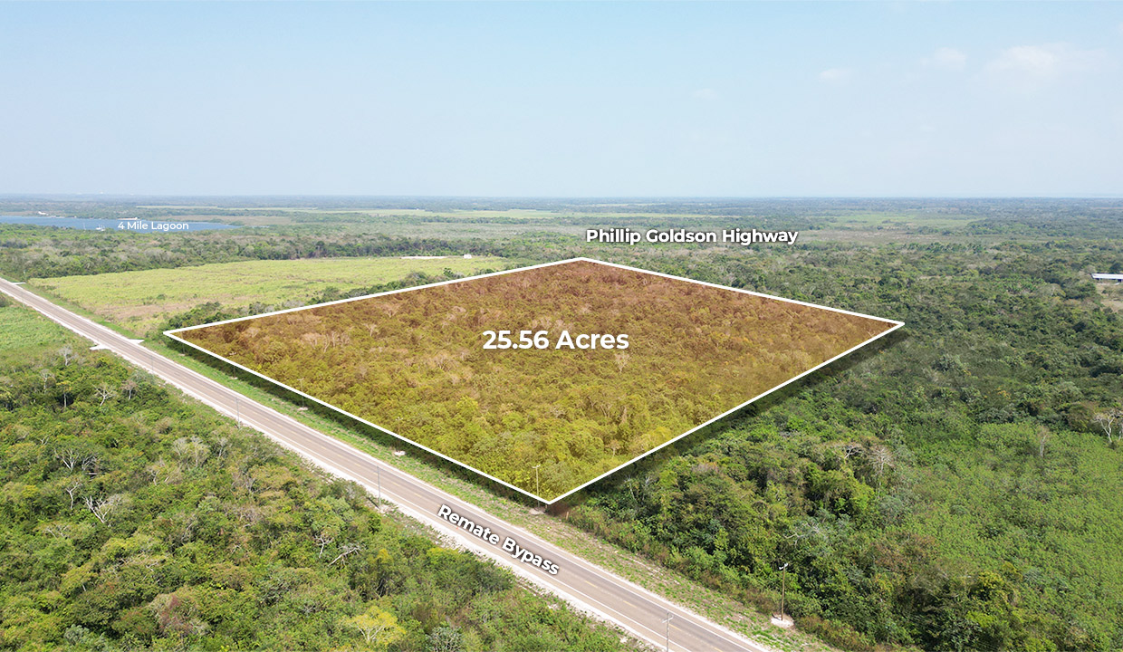 25.56 Acres Agricultural Commercial Property Corozal District Northern Belize