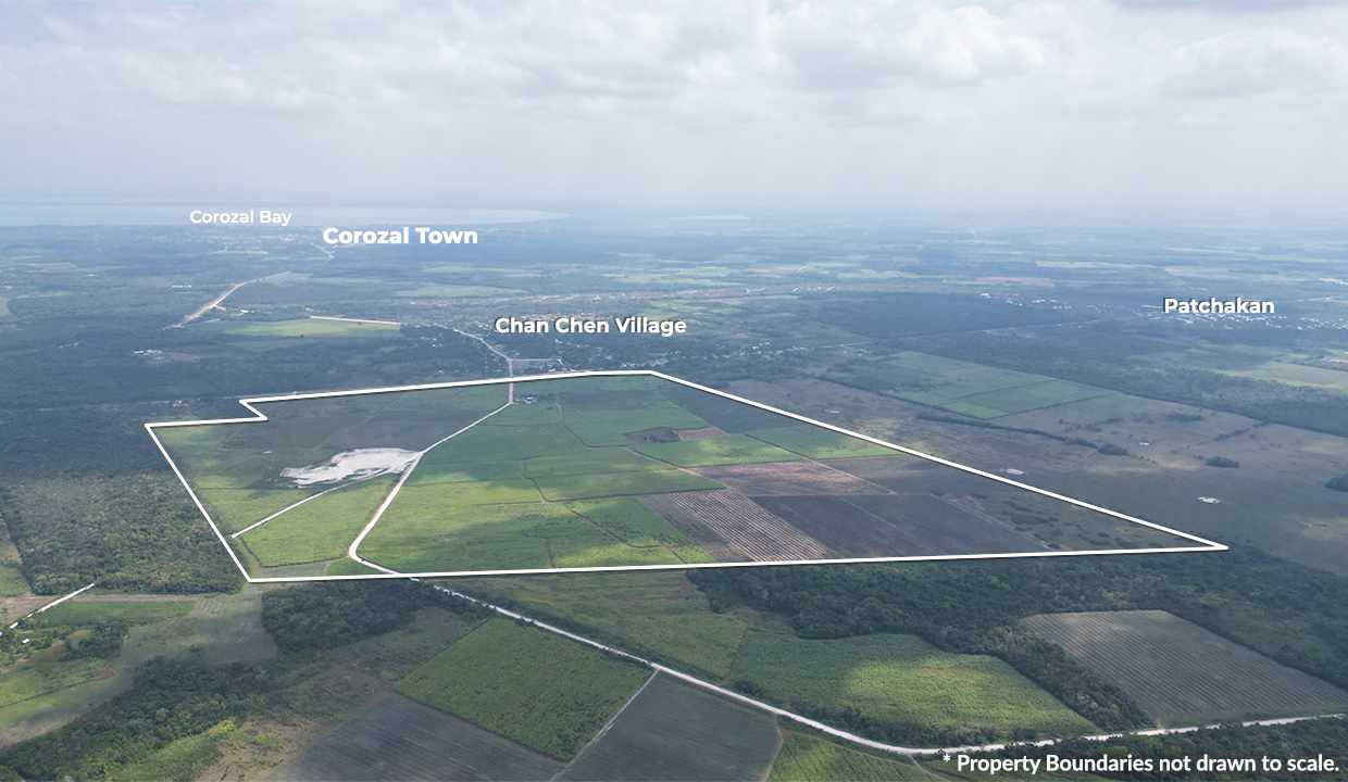 362 Acres Sugarcane Plantation Corozal District in Northern Belize