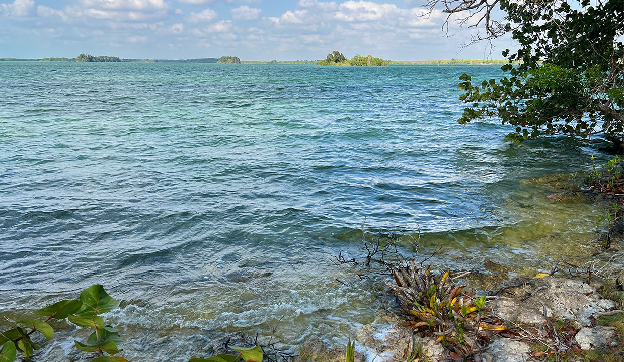 5.4 Acres Progresso Lagoon Property Corozal District in Northern Belize