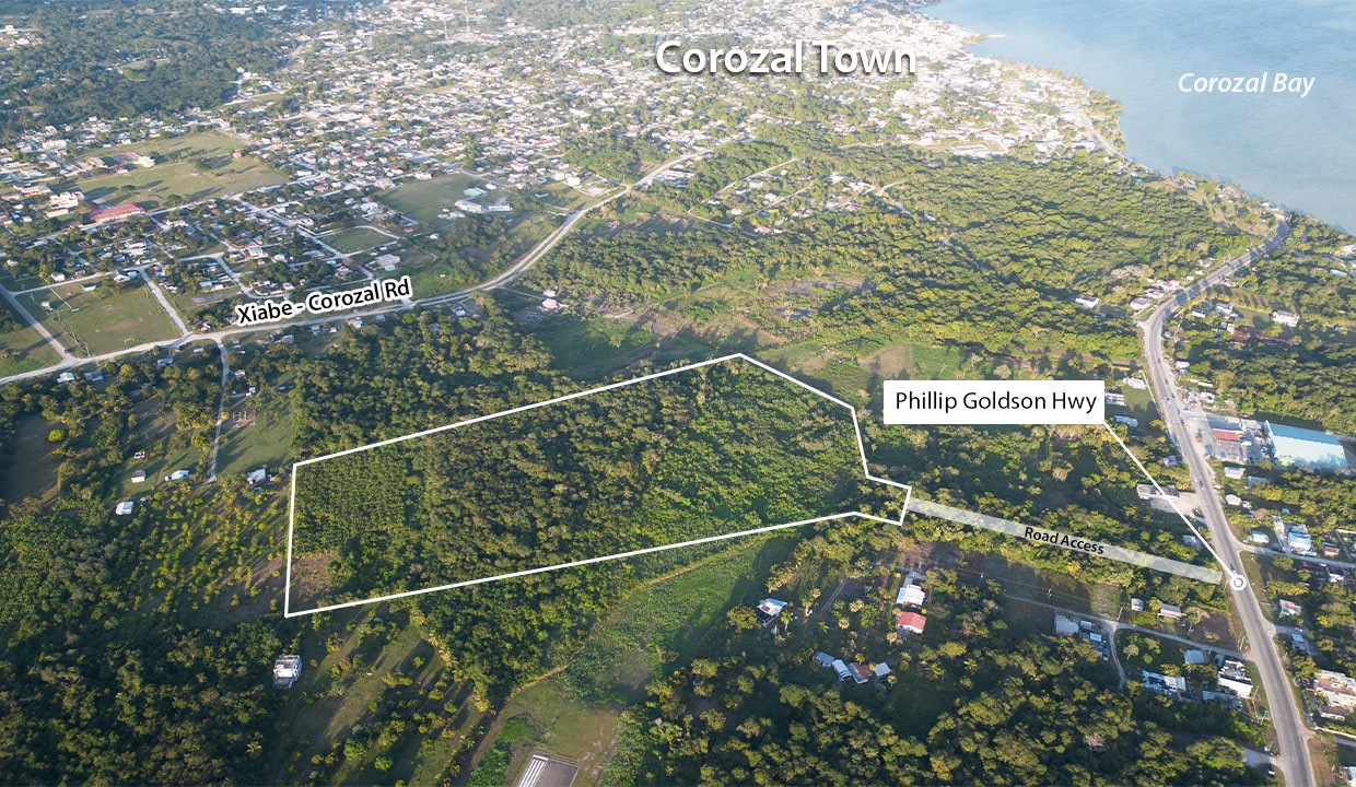 25 Acre Commercial / Investment Property Corozal District in Northern Belize