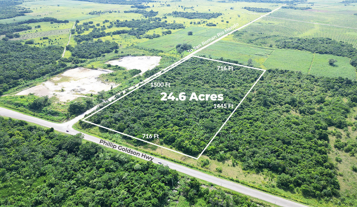 24.6 Acres Along the Phillip Goldson Highway Orange Walk District in Northern Belize