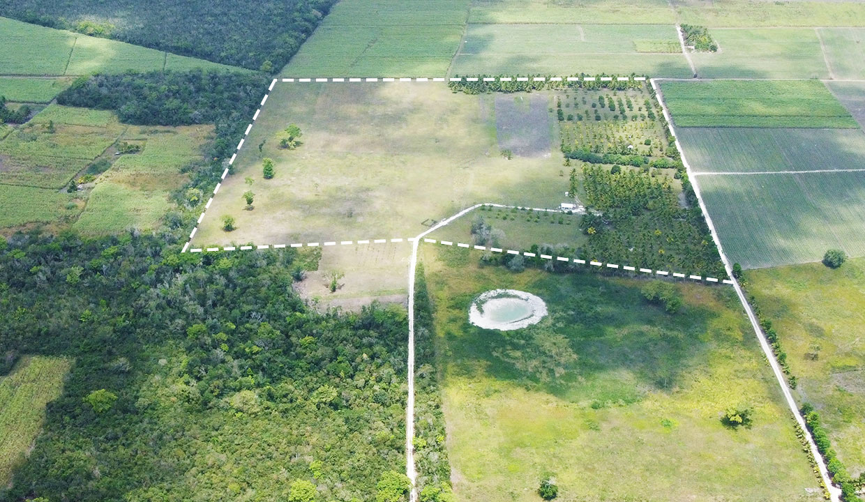 43.8 Acres Working and Producing Farm in Orange Walk District in Northern Belize