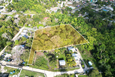 gal-6