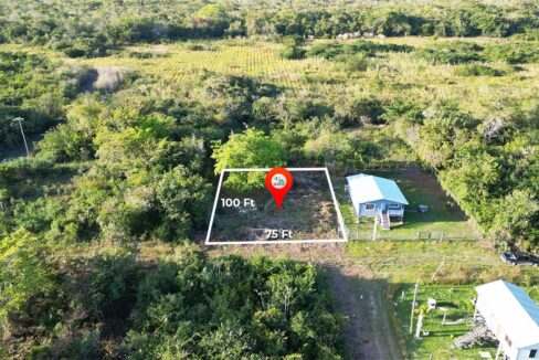 gallery-for-orlando.jpggal-12