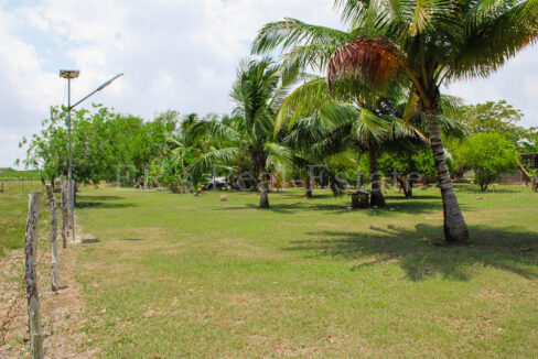 IMG_1539