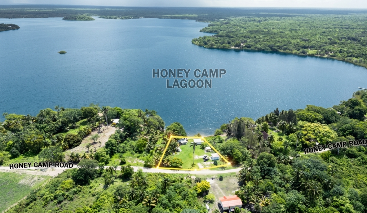 DJI_0306