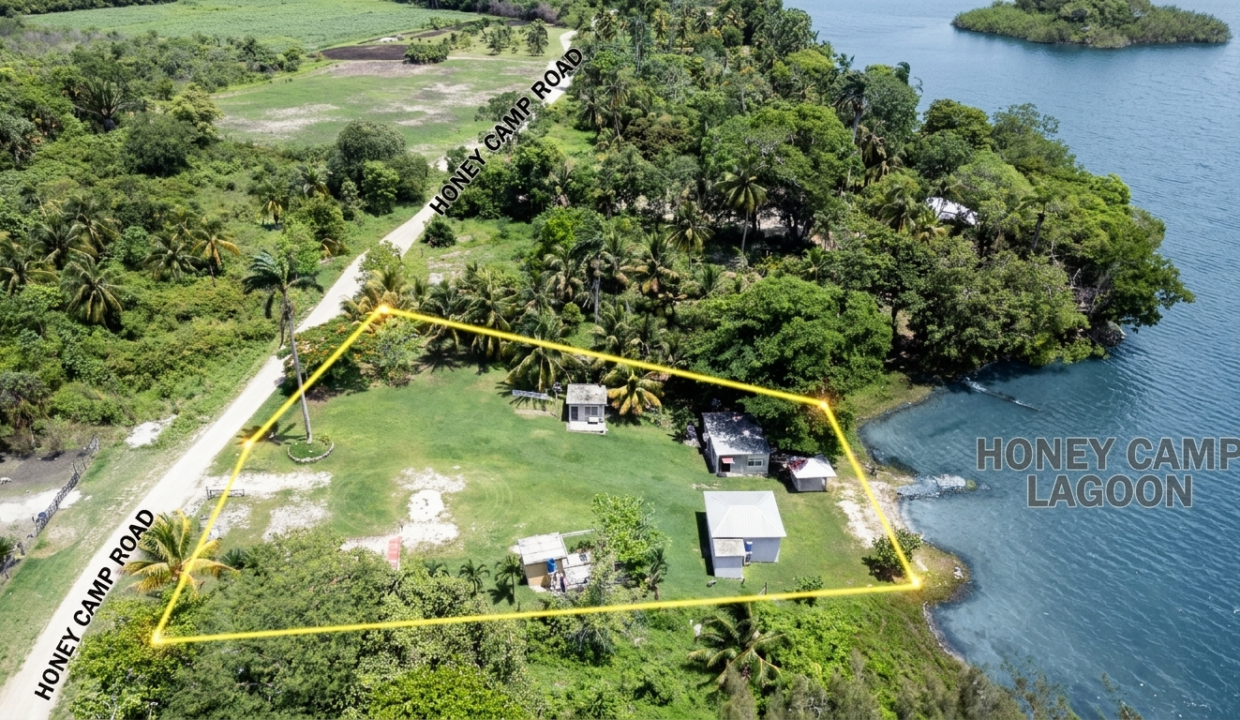DJI_0371