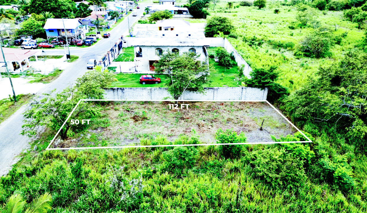 DJI_0471