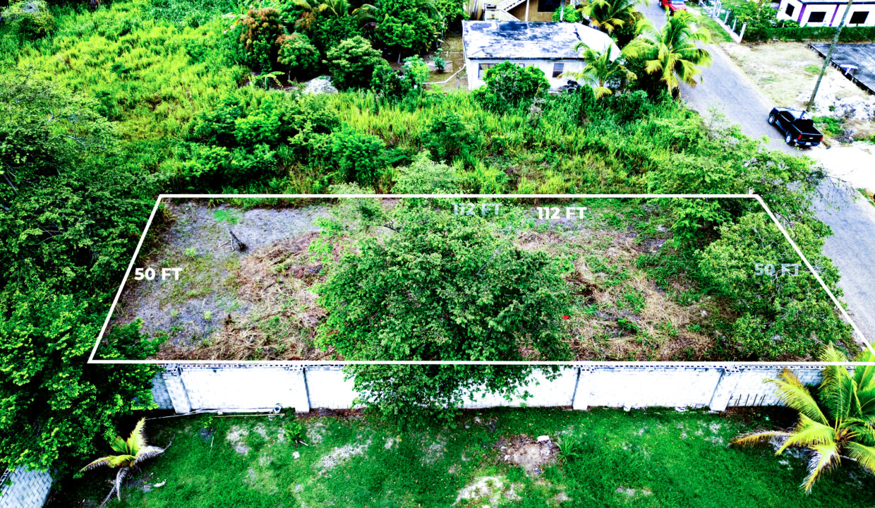 DJI_0478