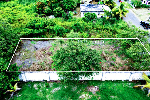 DJI_0478