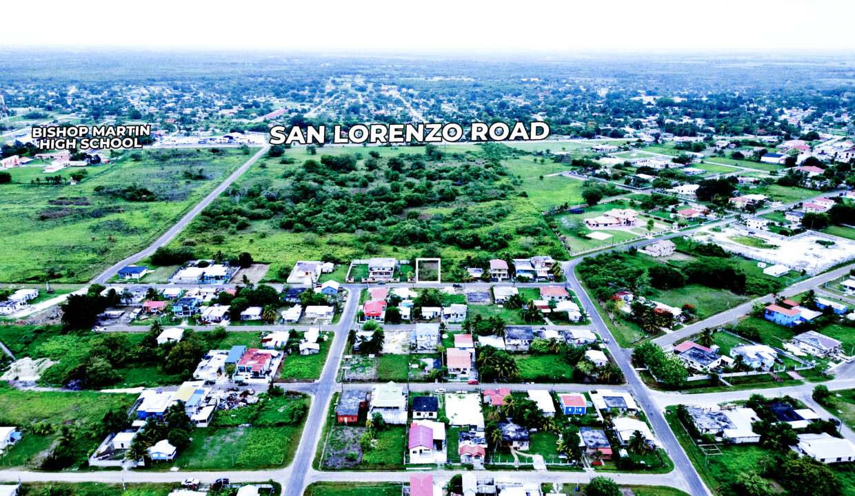 DJI_0529