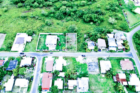 DJI_0530