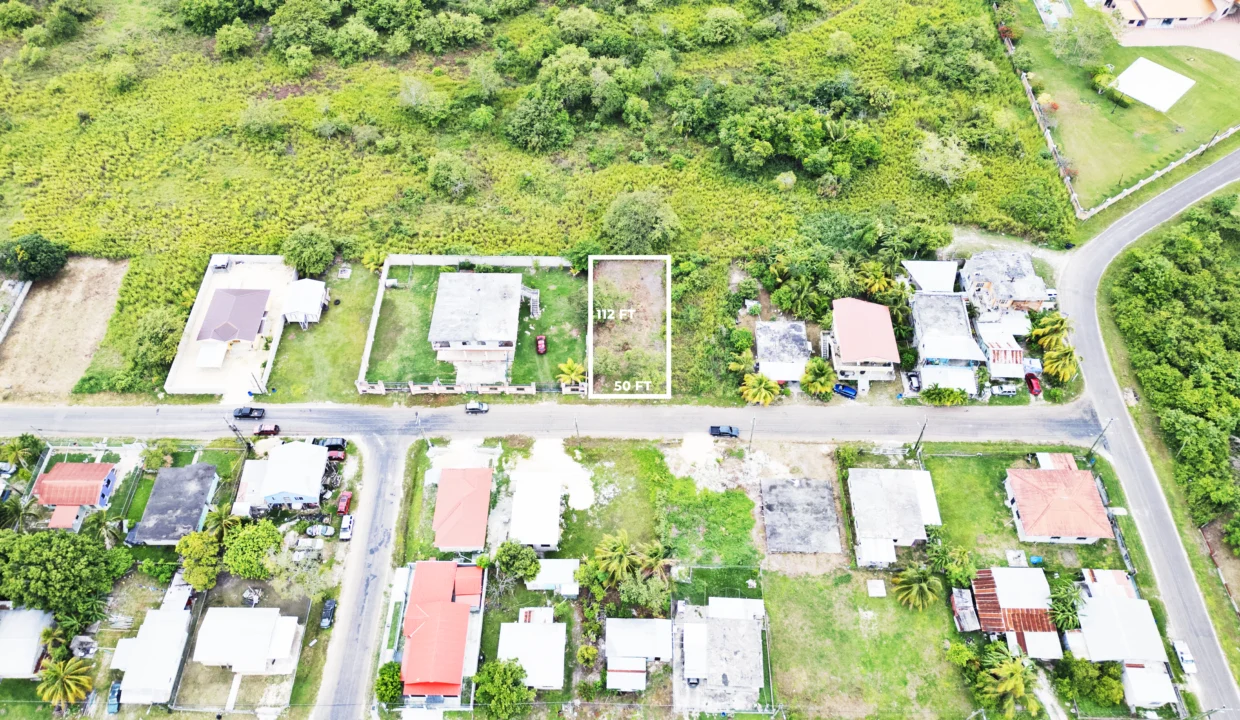DJI_0530 copy