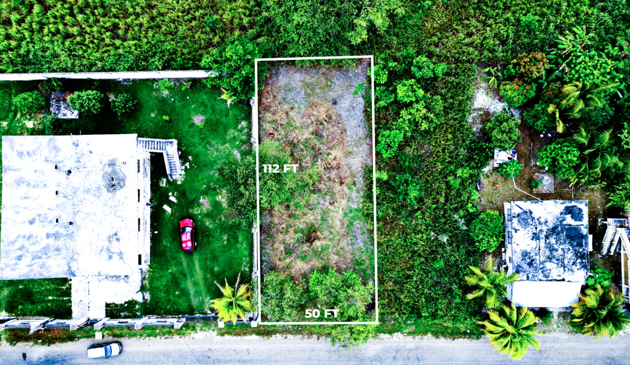 DJI_0534