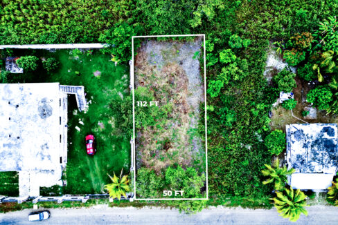 DJI_0534
