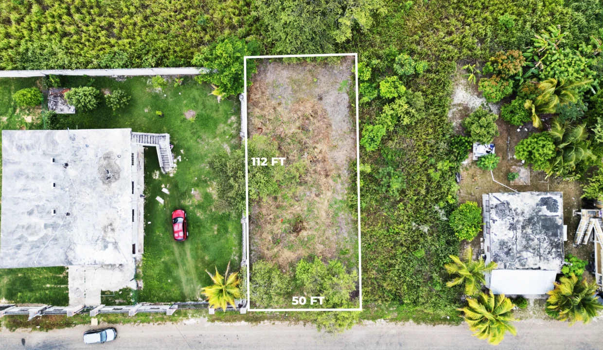 DJI_0534 copy