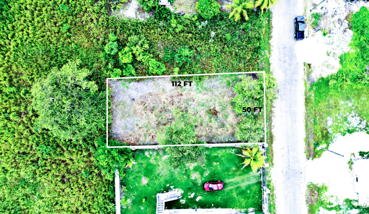 DJI_0535