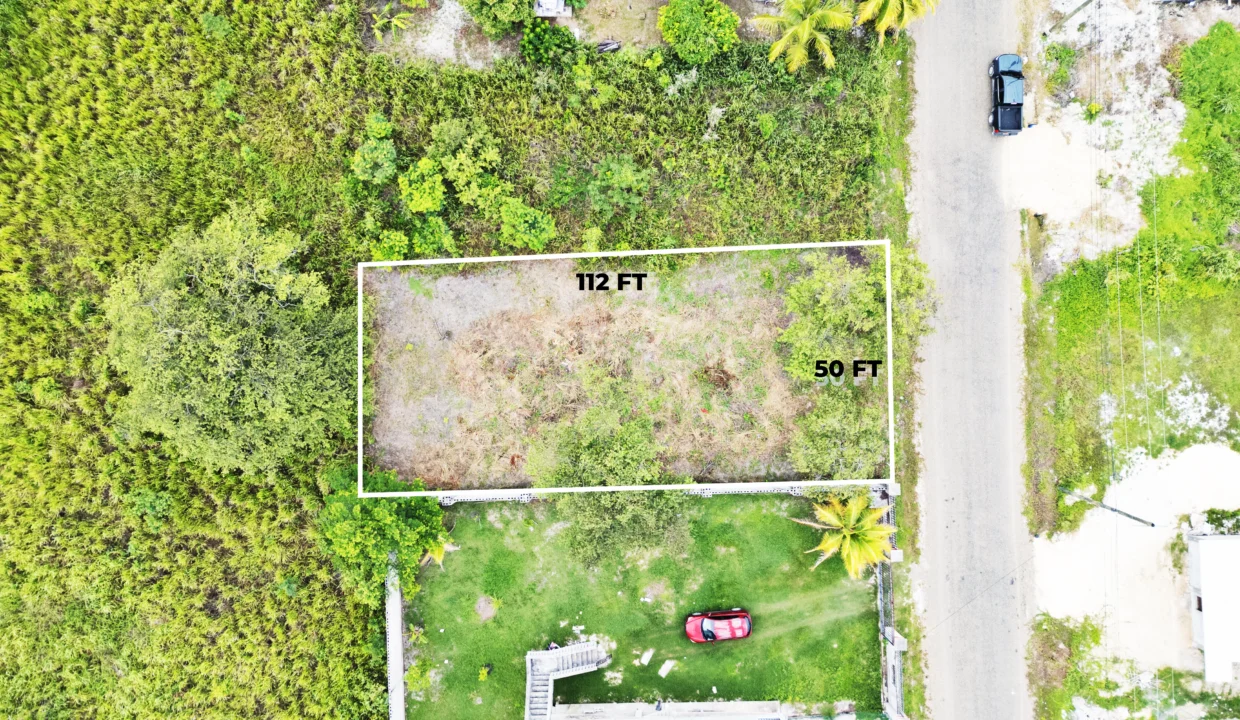 DJI_0535 copy