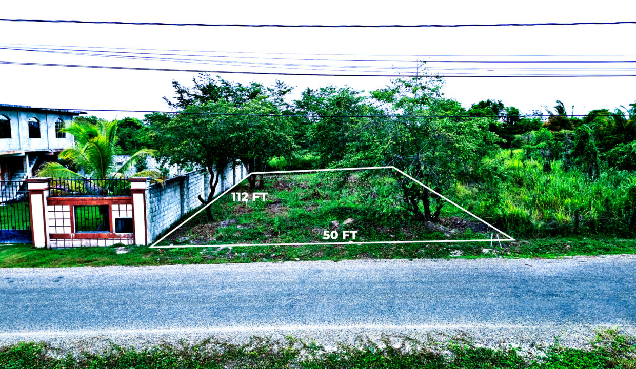 DJI_0536